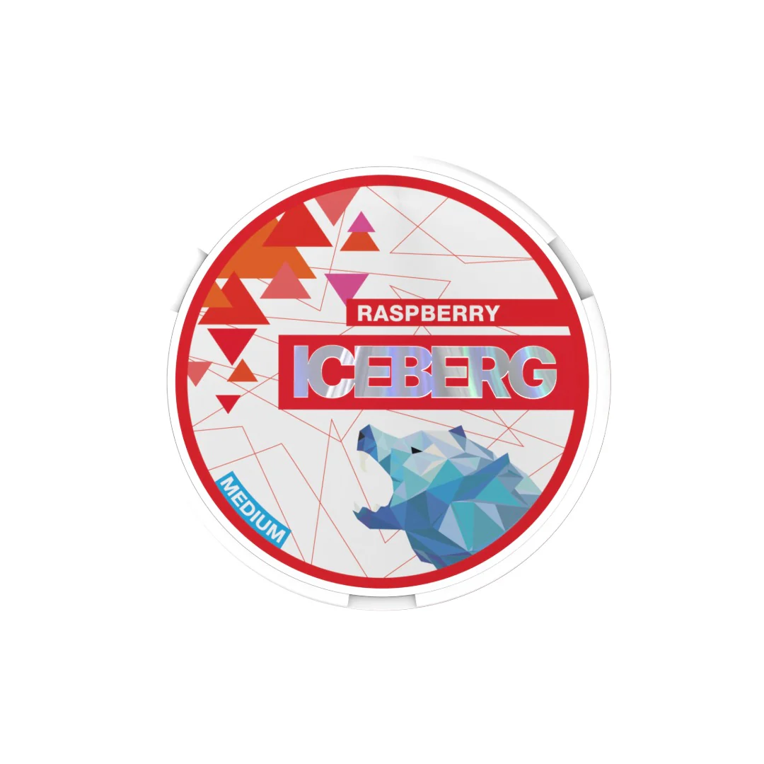 20mg Iceberg Medium Nicotine Pouches - 20 Pouches - Image 6